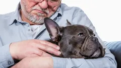 Calm and Loyal: 5 Dog Breeds That Warm Seniors’ Hearts