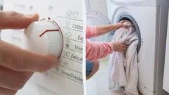 Cold or Hot? How to Choose the Right Temperature for Washing and Drying