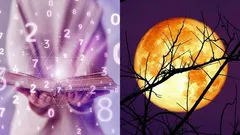 Moon Calendar for January 2026: These 8 Days Will Be the Luckiest