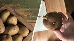 Potatoes Won’t Sprout or Shrivel for Six Months - Here’s How to Store Them Properly