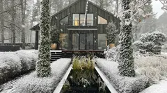 How to Protect Garden Plants from Winter Burn: A Gardener’s Tips