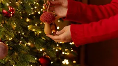 Not Ornaments or Tinsel: Unusual Items You Can Use to Decorate Your Christmas Tree