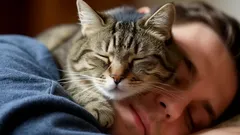 Not Just for Warmth: The Real Reasons Your Cat Keeps Sleeping on Your Head