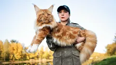 Dogs vs. Cats: These Breeds Can Win the Age-Old Rivalry