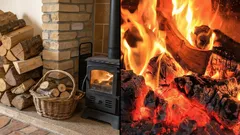 How to Dry Wet Firewood Easily and Quickly: A Proven Method for Perfect Burning