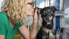 Do you often talk to your pet? Experts explain why it’s beneficial