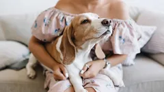 Dog Love Is More Complicated Than It Seems: Signs That Matter More Than a Thousand Words