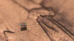 Microscopic Autonomous Robots: A New Era of Nanotechnology?