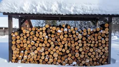Your Firewood Will Stay Dry All Winter: Remember These Proven Storage Methods