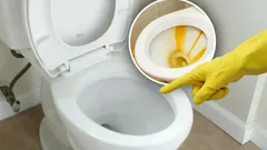 Limescale in Your Toilet Will Disappear Without a Trace: Just Drop in One Common Household Tablet