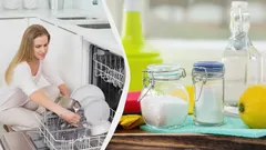 What to Put in Your Dishwasher to Clean Out Food Residue: 3 Best Home Remedies