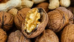 I Save Walnut Shells Until Spring: A Clever Gardener’s Trick That Protects the Harvest