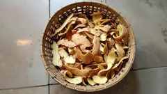 Don’t Throw Out Potato Peels: Here’s How to Turn Them into Powerful Fertilizer